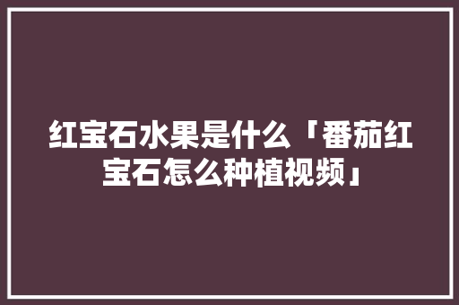 红宝石水果是什么「番茄红宝石怎么种植视频」 红宝石水果是什么「番茄红宝石怎么种植视频」 花朵知识