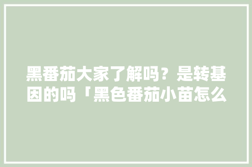 黑番茄大家了解吗？是转基因的吗「黑色番茄小苗怎么种植视频」 黑番茄大家了解吗？是转基因的吗「黑色番茄小苗怎么种植视频」 植物种类