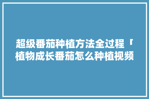 超级番茄种植方法全过程「植物成长番茄怎么种植视频」 超级番茄种植方法全过程「植物成长番茄怎么种植视频」 农业常识