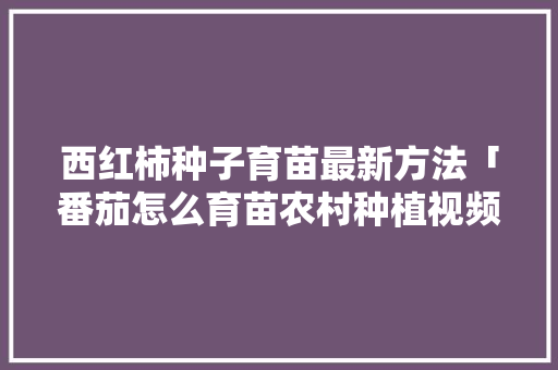 西红柿种子育苗最新方法「番茄怎么育苗农村种植视频」 西红柿种子育苗最新方法「番茄怎么育苗农村种植视频」 花朵知识