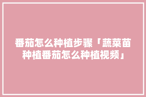 番茄怎么种植步骤「蔬菜苗种植番茄怎么种植视频」 番茄怎么种植步骤「蔬菜苗种植番茄怎么种植视频」 花朵知识