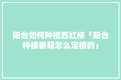 阳台如何种植西红柿「阳台种植番茄怎么定植的」 阳台如何种植西红柿「阳台种植番茄怎么定植的」 番茄病虫害防治