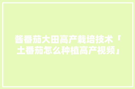 酱番茄大田高产栽培技术「土番茄怎么种植高产视频」 酱番茄大田高产栽培技术「土番茄怎么种植高产视频」 植物种类