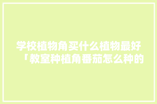 学校植物角买什么植物最好「教室种植角番茄怎么种的」