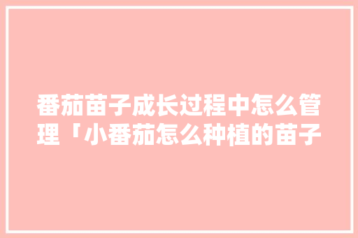番茄苗子成长过程中怎么管理「小番茄怎么种植的苗子图片」 番茄苗子成长过程中怎么管理「小番茄怎么种植的苗子图片」 种植技巧