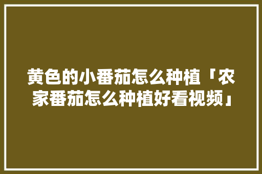 黄色的小番茄怎么种植「农家番茄怎么种植好看视频」 黄色的小番茄怎么种植「农家番茄怎么种植好看视频」 种植技巧