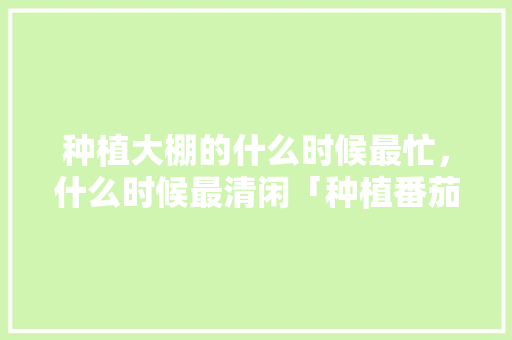 种植大棚的什么时候最忙，什么时候最清闲「种植番茄喷管怎么摆放好」 种植大棚的什么时候最忙，什么时候最清闲「种植番茄喷管怎么摆放好」 番茄种植技巧