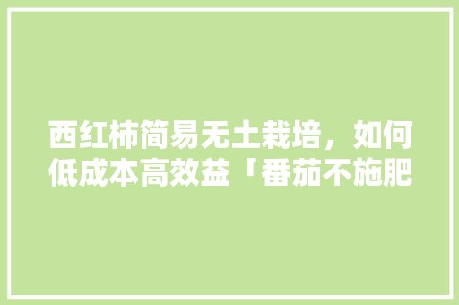 西红柿简易无土栽培，如何低成本高效益「番茄不施肥怎么种植呢视频」 西红柿简易无土栽培，如何低成本高效益「番茄不施肥怎么种植呢视频」 植物种类