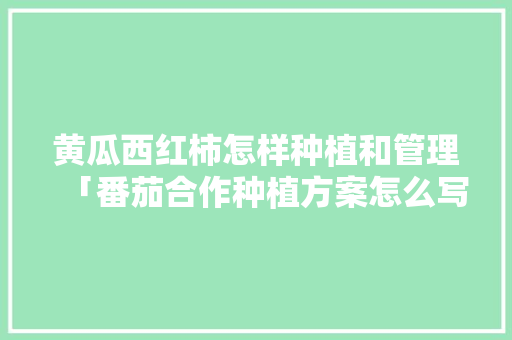 黄瓜西红柿怎样种植和管理「番茄合作种植方案怎么写的」 黄瓜西红柿怎样种植和管理「番茄合作种植方案怎么写的」 土壤施肥