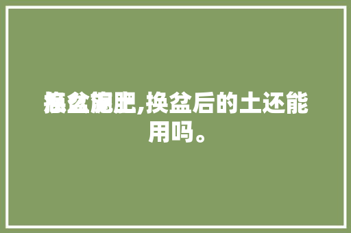 换盆泥土怎么施肥,换盆后的土还能用吗。