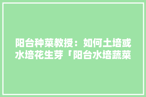 阳台种菜教授：如何土培或水培花生芽「阳台水培蔬菜种植小技巧视频」 阳台种菜教授：如何土培或水培花生芽「阳台水培蔬菜种植小技巧视频」 番茄种植技巧