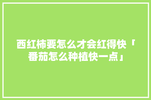 西红柿要怎么才会红得快「番茄怎么种植快一点」 西红柿要怎么才会红得快「番茄怎么种植快一点」 种植技巧