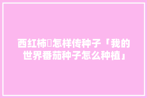 西红柿昰怎样传种子「我的世界番茄种子怎么种植」 西红柿昰怎样传种子「我的世界番茄种子怎么种植」 花朵知识