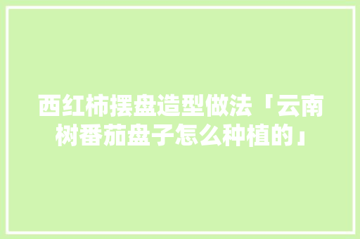 西红柿摆盘造型做法「云南树番茄盘子怎么种植的」 西红柿摆盘造型做法「云南树番茄盘子怎么种植的」 植物种类