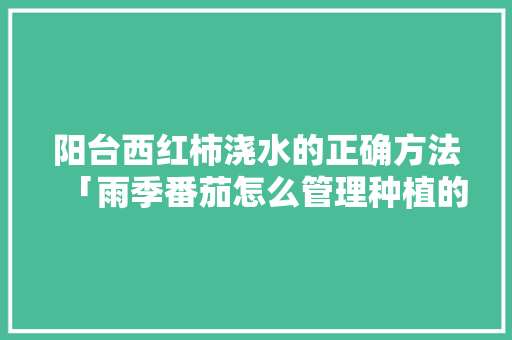 阳台西红柿浇水的正确方法「雨季番茄怎么管理种植的」 阳台西红柿浇水的正确方法「雨季番茄怎么管理种植的」 土壤施肥