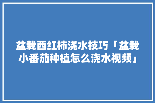 盆栽西红柿浇水技巧「盆栽小番茄种植怎么浇水视频」 盆栽西红柿浇水技巧「盆栽小番茄种植怎么浇水视频」 种植技巧