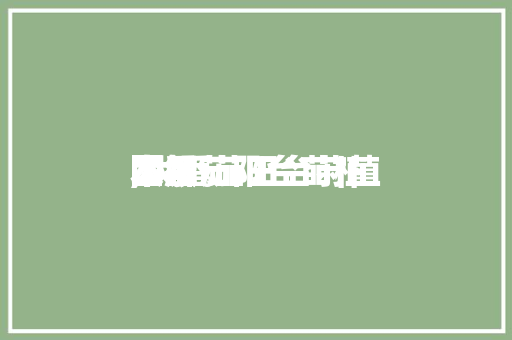 大番茄阳台莳植本领,大番茄阳台莳植本领图解。