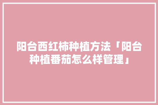 阳台西红柿种植方法「阳台种植番茄怎么样管理」 阳台西红柿种植方法「阳台种植番茄怎么样管理」 种植技巧