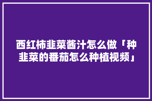 西红柿韭菜酱汁怎么做「种韭菜的番茄怎么种植视频」 西红柿韭菜酱汁怎么做「种韭菜的番茄怎么种植视频」 种植技巧