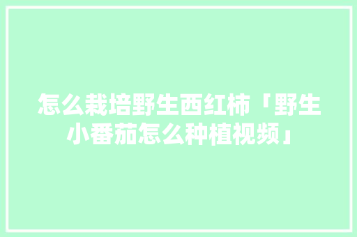 怎么栽培野生西红柿「野生小番茄怎么种植视频」 怎么栽培野生西红柿「野生小番茄怎么种植视频」 农业常识