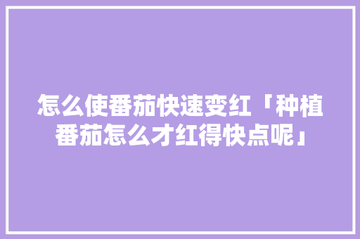 怎么使番茄快速变红「种植番茄怎么才红得快点呢」 怎么使番茄快速变红「种植番茄怎么才红得快点呢」 番茄种植技巧