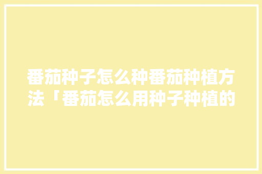 番茄种子怎么种番茄种植方法「番茄怎么用种子种植的视频」 番茄种子怎么种番茄种植方法「番茄怎么用种子种植的视频」 番茄种植技巧