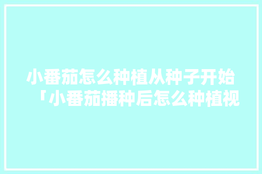 小番茄怎么种植从种子开始「小番茄播种后怎么种植视频」 小番茄怎么种植从种子开始「小番茄播种后怎么种植视频」 种植技巧