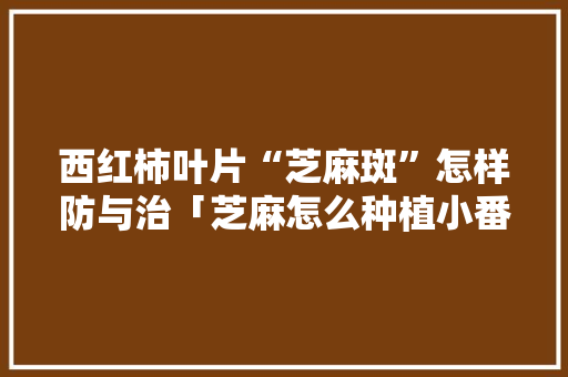 西红柿叶片“芝麻斑”怎样防与治「芝麻怎么种植小番茄视频」
