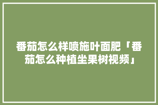 番茄怎么样喷施叶面肥「番茄怎么种植坐果树视频」 番茄怎么样喷施叶面肥「番茄怎么种植坐果树视频」 土壤施肥
