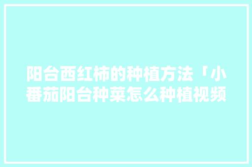阳台西红柿的种植方法「小番茄阳台种菜怎么种植视频」 阳台西红柿的种植方法「小番茄阳台种菜怎么种植视频」 植物种类