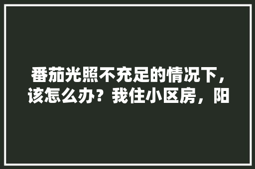 番茄光照不充足的情况下，该怎么办？我住小区房，阳台是包在房间内的，而客厅有光照到时间短「露天种植番茄怎么遮阳呢」 番茄光照不充足的情况下，该怎么办？我住小区房，阳台是包在房间内的，而客厅有光照到时间短「露天种植番茄怎么遮阳呢」 番茄种植技巧