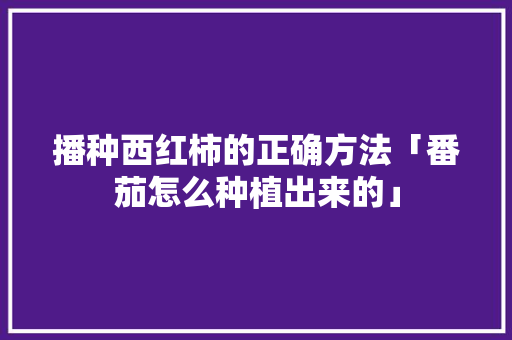 播种西红柿的正确方法「番茄怎么种植出来的」 种植技巧 播种西红柿的正确方法「番茄怎么种植出来的」 播种西红柿的正确方法「番茄怎么种植出来的」 种植技巧