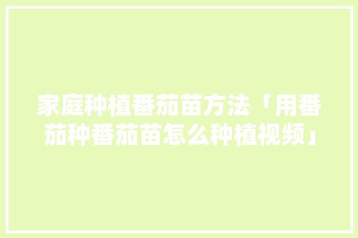 家庭种植番茄苗方法「用番茄种番茄苗怎么种植视频」 家庭种植番茄苗方法「用番茄种番茄苗怎么种植视频」 花朵知识