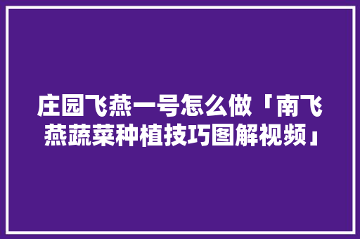 庄园飞燕一号怎么做「南飞燕蔬菜种植技巧图解视频」