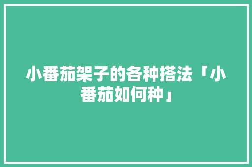 小番茄架子的各种搭法「小番茄如何种」 小番茄架子的各种搭法「小番茄如何种」 植物种类