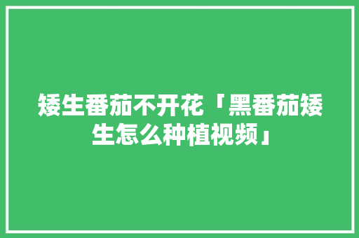 矮生番茄不开花「黑番茄矮生怎么种植视频」 矮生番茄不开花「黑番茄矮生怎么种植视频」 种植技巧