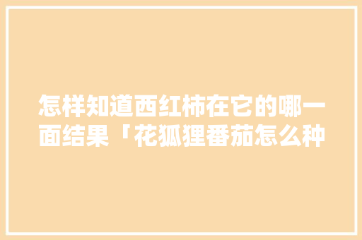 怎样知道西红柿在它的哪一面结果「花狐狸番茄怎么种植的视频」 怎样知道西红柿在它的哪一面结果「花狐狸番茄怎么种植的视频」 花朵知识