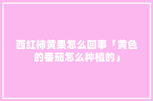 西红柿黄果怎么回事「黄色的番茄怎么种植的」 西红柿黄果怎么回事「黄色的番茄怎么种植的」 花朵知识
