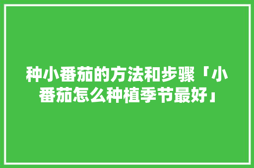 种小番茄的方法和步骤「小番茄怎么种植季节最好」 种小番茄的方法和步骤「小番茄怎么种植季节最好」 番茄病虫害防治