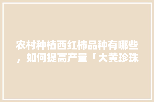 农村种植西红柿品种有哪些，如何提高产量「大黄珍珠番茄怎么种植的」
