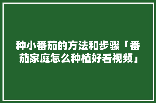 种小番茄的方法和步骤「番茄家庭怎么种植好看视频」 种小番茄的方法和步骤「番茄家庭怎么种植好看视频」 土壤施肥