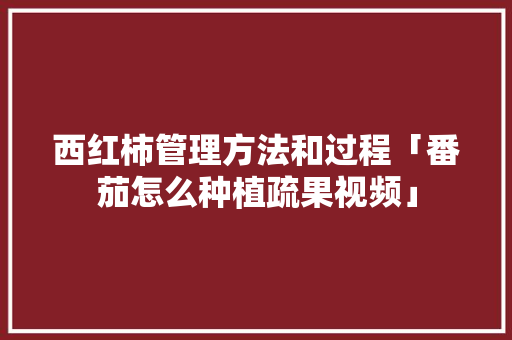 西红柿管理方法和过程「番茄怎么种植疏果视频」 西红柿管理方法和过程「番茄怎么种植疏果视频」 花朵知识