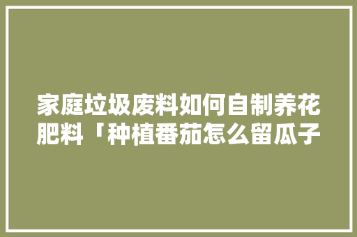 家庭垃圾废料如何自制养花肥料「种植番茄怎么留瓜子枝」 家庭垃圾废料如何自制养花肥料「种植番茄怎么留瓜子枝」 番茄病虫害防治