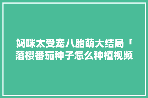 妈咪太受宠八胎萌大结局「落樱番茄种子怎么种植视频」 妈咪太受宠八胎萌大结局「落樱番茄种子怎么种植视频」 番茄种植技巧