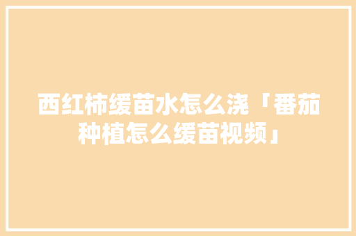 西红柿缓苗水怎么浇「番茄种植怎么缓苗视频」 西红柿缓苗水怎么浇「番茄种植怎么缓苗视频」 土壤施肥