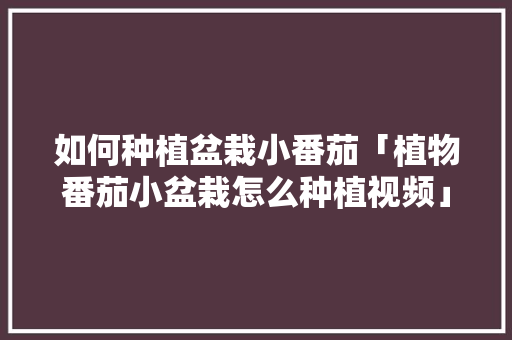 如何种植盆栽小番茄「植物番茄小盆栽怎么种植视频」 如何种植盆栽小番茄「植物番茄小盆栽怎么种植视频」 番茄病虫害防治