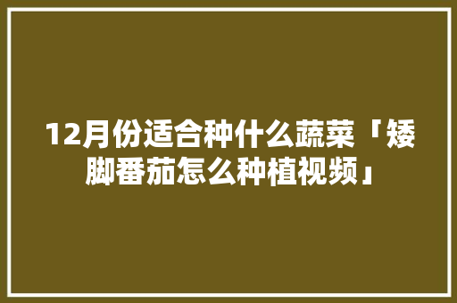 12月份适合种什么蔬菜「矮脚番茄怎么种植视频」 12月份适合种什么蔬菜「矮脚番茄怎么种植视频」 番茄病虫害防治