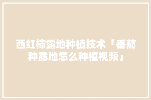 西红柿露地种植技术「番茄种露地怎么种植视频」 西红柿露地种植技术「番茄种露地怎么种植视频」 花朵知识