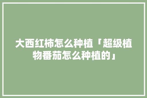 大西红柿怎么种植「超级植物番茄怎么种植的」 大西红柿怎么种植「超级植物番茄怎么种植的」 土壤施肥