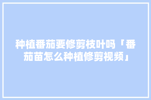 种植番茄要修剪枝叶吗「番茄苗怎么种植修剪视频」 种植番茄要修剪枝叶吗「番茄苗怎么种植修剪视频」 种植技巧